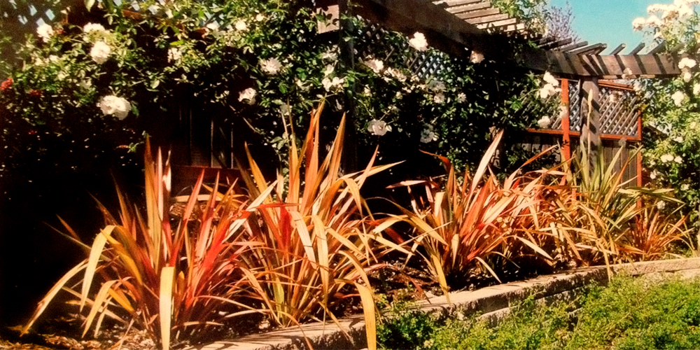 landscaping photo