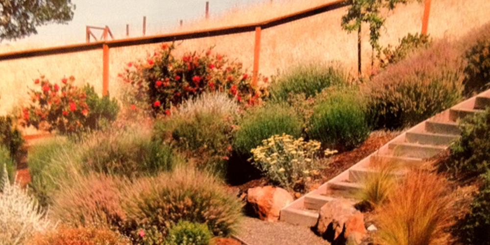 landscaping photo