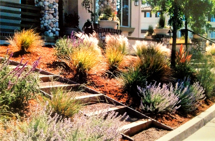 landscaping with steps