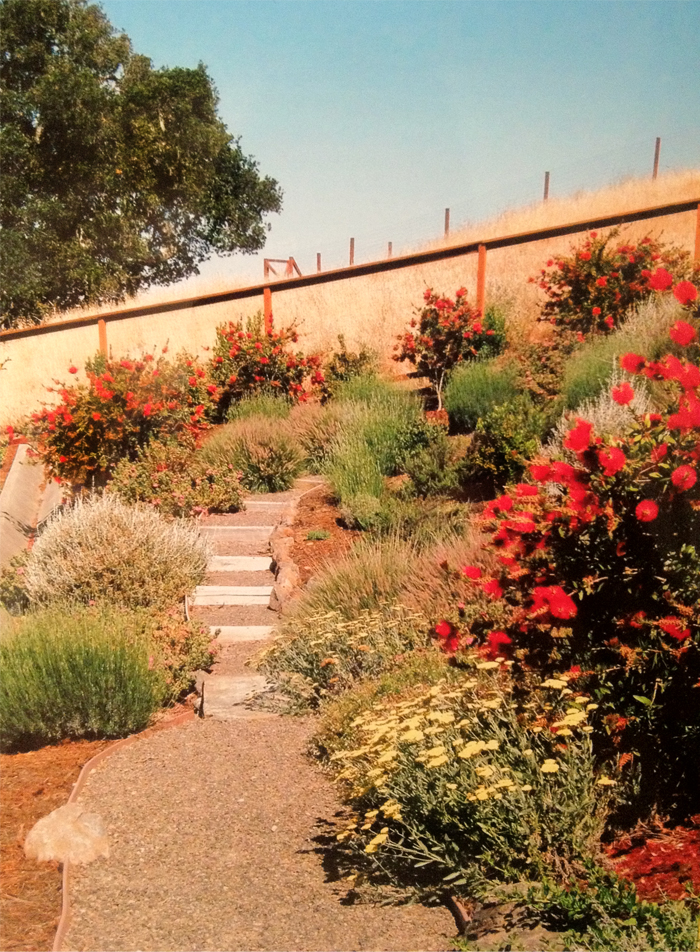concrete stairs thumbnails