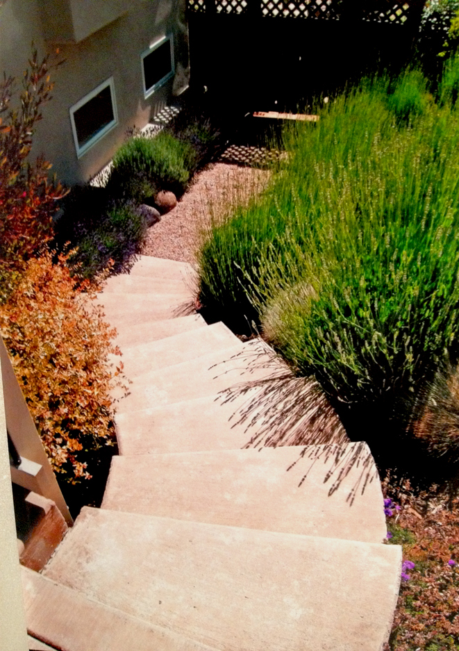 paved steps
